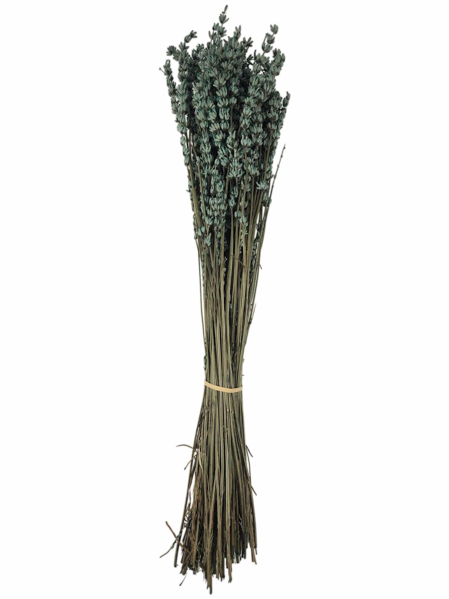 Lavender Blue NI Bunch